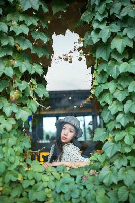 华丽的外出在线观看